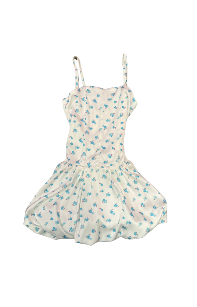 Bailey White With Pastel Blue Ditsy Satin Ballet Dress
