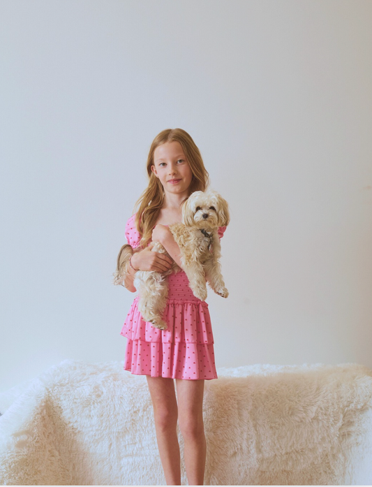 Lexi Pink With Red Hearts Satin Smocked Short Sleeve Ruffle Dress