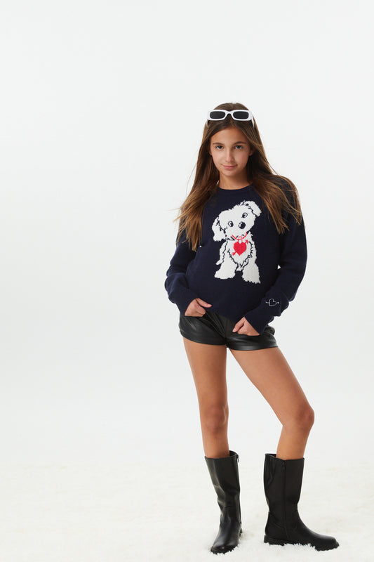 Tiegan Navy Puppy Graphic Graphic Sweater