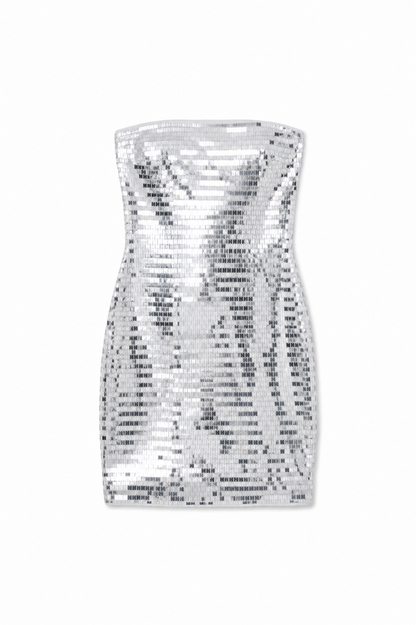 Sam Silver Rectangular Sequin Dress