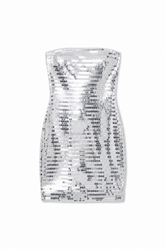 Sam Silver Rectangular Sequin Dress