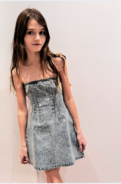 Demi Denim Studded Crystal Strapless Dress
