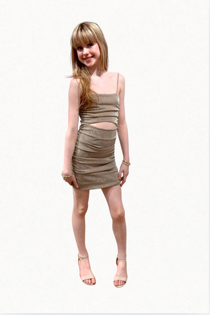 Liv Gold Metallic Dress