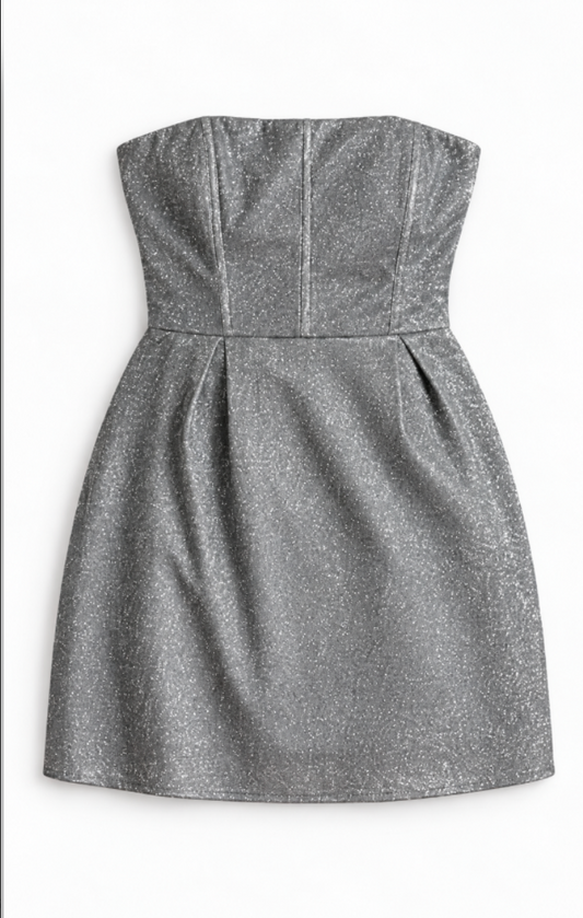 Roxi Silver Corset dress