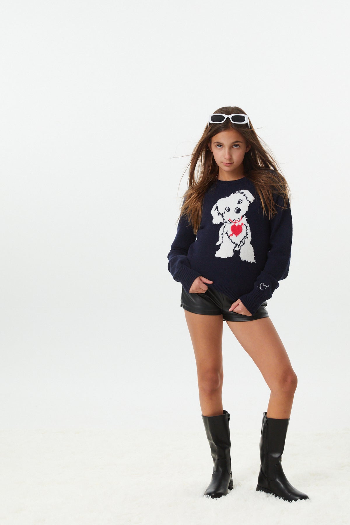 Tiegan Navy Puppy Graphic Graphic Sweater