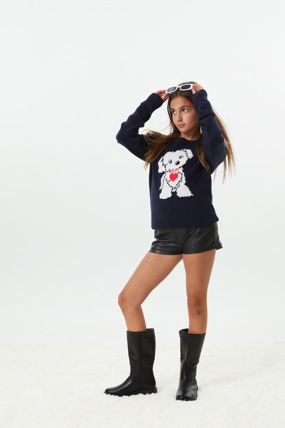 Tiegan Navy Puppy Graphic Graphic Sweater