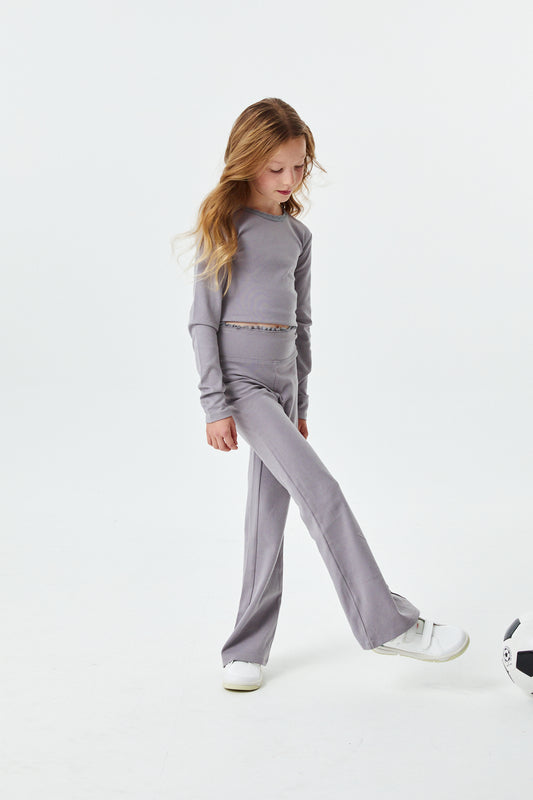 Lucy Grey Long Sleeve Crop Top
