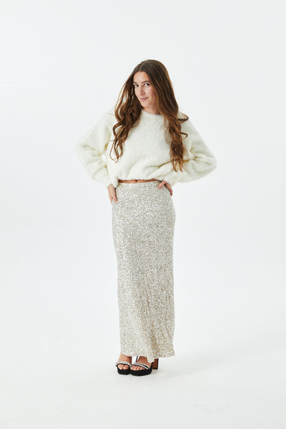 Delfina Long Sequin Skirt