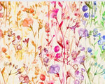 Cece- Rainbow Watercolor Floral